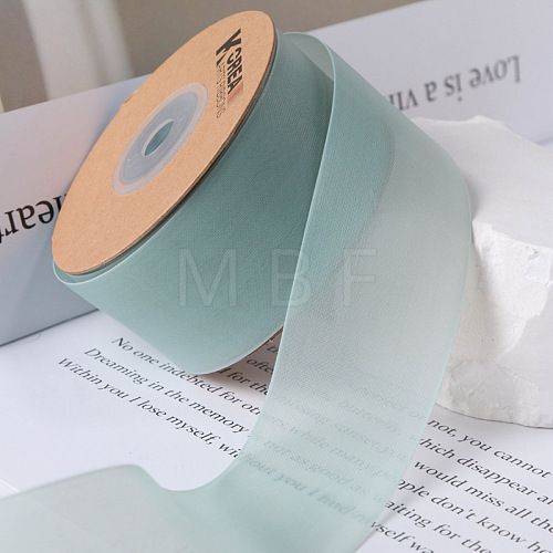 Polyester Ribbons PW-WG70966-23-1