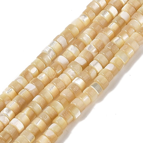 Natural Trochid Shell/Trochus Shell Beads Strands BSHE-H018-02-1