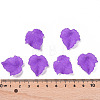 Autumn Theme Transparent Frosted Acrylic Pendants LS-X-PAF002Y-8-4