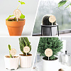 Wood Plant Labels DIY-GF0014-39B-5