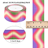 10M Gradient Color Polyester Grosgrain Ribbon OCOR-WH0078-74B-2