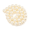 Glass Pearl Beads Strands HY-G002-01F-02-3