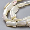 Natural Shell Beads Strands SSHEL-K026-01-3