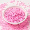 MIYUKI Round Rocailles Beads SEED-G008-RR0415-2