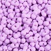 Baking Paint Glass Seed Beads X1-SEED-K010-A22-2