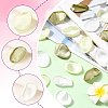 Polyester Artificial Rose Flower Petals AJEW-WH20067-107P-3