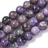 Natural Charoite Beads Strands G-C270-O02-05-2