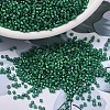 MIYUKI Delica Beads X-SEED-J020-DB1788-1