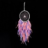 Iron Woven Web/Net with Feather Pendant Decorations AJEW-B017-09-4