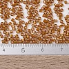 MIYUKI Delica Beads SEED-JP0008-DB1734-4