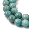 Natural Amazonite Beads Strands G-F461-12-10mm-01A-4