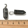 Natural Labradorite Pendants G-Z067-07P-24-4