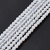 Natural White Agate Beads Strands G-C247-03-3