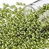 8/0 Glass Seed Beads SEED-A017-3mm-1112-1