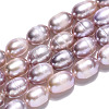 Natural Cultured Freshwater Pearl Beads Strands PEAR-N012-05P-4