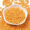 Baking Paint Glass Seed Beads X1-SEED-B001-02A-17-2