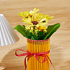 High Borosilicate Glass Watering Plant Vases DIY-HS0002-54-3