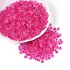 Transparent Inside Colours Glass Seed Beads SEED-T007-11D-3