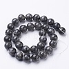 Natural Larvikite Beads Strands GSR12mmC128-3