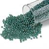 TOHO Round Seed Beads SEED-XTR11-1833-1