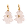 Natural Rose Quartz Pendants G-P628-04G-04-1