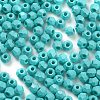 Baking Paint Glass Seed Beads X1-SEED-A032-02H-3