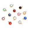 304 Stainless Steel Charms STAS-I165-04B-G-1