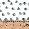 6/0 Transparent Inside Colours Glass Seed Beads SEED-N008-08D-4