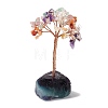 Natural Gemstone Tree Display Decoration DJEW-G027-10RG-02-2