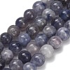 Natural Iolite Beads Strands X-G-G300-A04-6mm-2