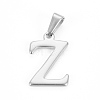 Non-Tarnish 304 Stainless Steel Pendants STAS-F106-95P-Z-01-1