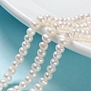 Natural Cultured Freshwater Pearl Beads Strands PEAR-I004-03-5