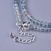 Natural Fluorite Beaded Necklaces NJEW-K114-B-A16-3