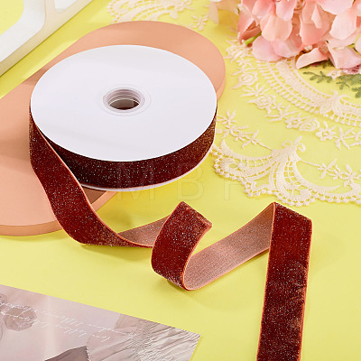 10 Yards Polyester Velvet Ribbon OCOR-TA0004-13E-1