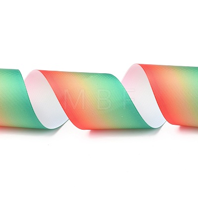 Gradient Rainbow Polyester Ribbon OCOR-G008-04B-1