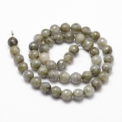 Natural Labradorite Beads Strands X-G-D840-10-8mm-1