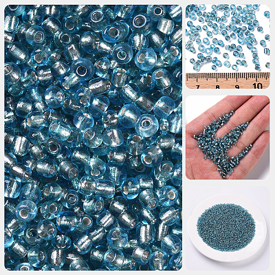 3000Pcs Glass Seed Beads SEED-PA0001-29B-03-1