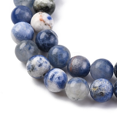 Natural Sodalite Beads Strand GSR6mmC013-1