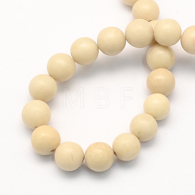 Natural Fossil Round Beads Strands X-G-S171-6mm-1