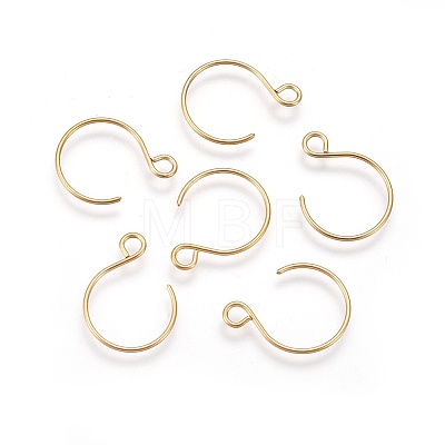 Ion Plating(IP) 304 Stainless Steel Earring Hooks STAS-O119-10G-B-1