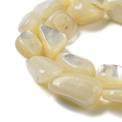 Natural White Shell Beads Strands SSHEL-H072-15-1