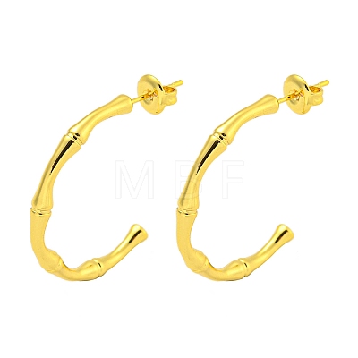 304 Stainless Steel Earrings EJEW-R161-11G-1