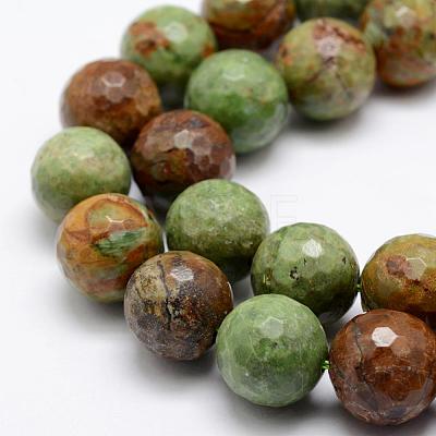Natural Green Opal Beads Strands G-K209-05A-16mm-1