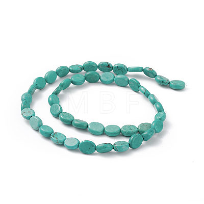 Natural Howlite Beads Strands G-P494-B01-1