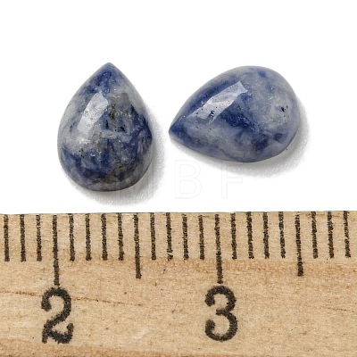 Natural Blue Spot Jasper Cabochons G-Q173-02B-14-1
