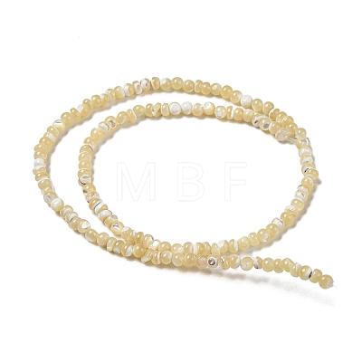 Natural Trochus Shell Beads Strands SSHEL-H072-13A-1