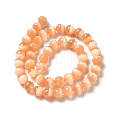 Natural Selenite Beads Strands G-P493-01I-1