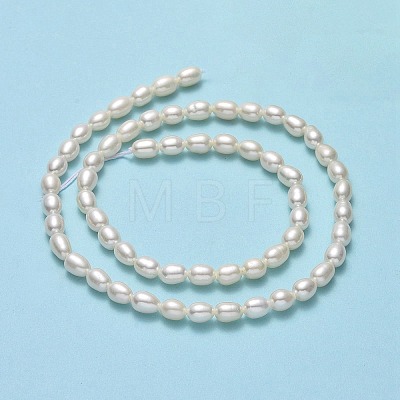 Natural Cultured Freshwater Pearl Beads Strands PEAR-J006-15A-01-1