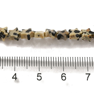 Natural Dalmatian Jasper Beads Strands G-G085-B13-02-1