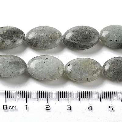 Natural Labradorite Beads Strands G-L164-A-34-1
